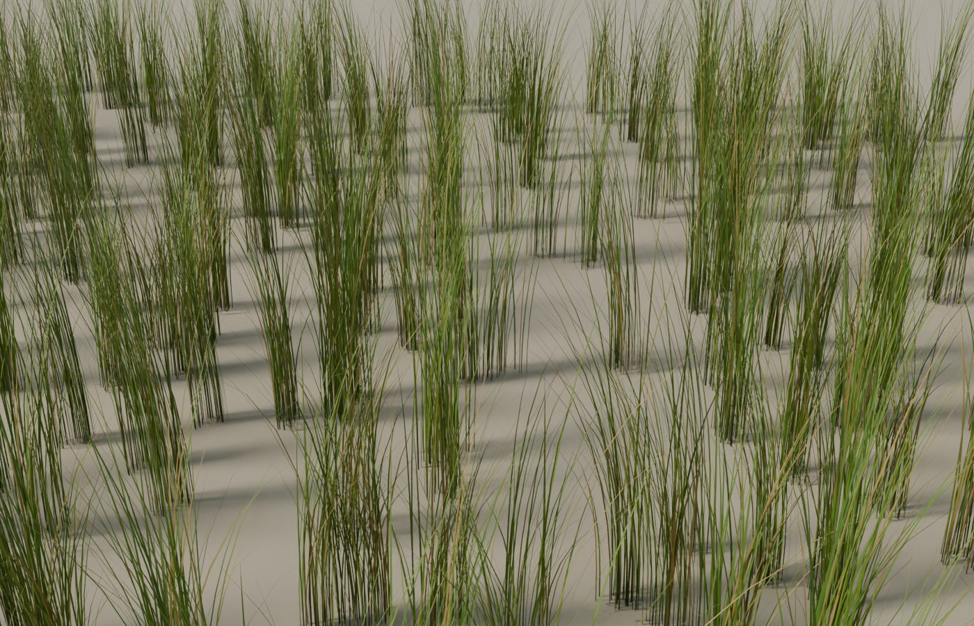 Dense dune grass render from the procedural vegetation system